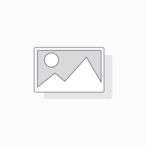 Datenschutzmanager – Datenschutzmanagementsystem & Governance